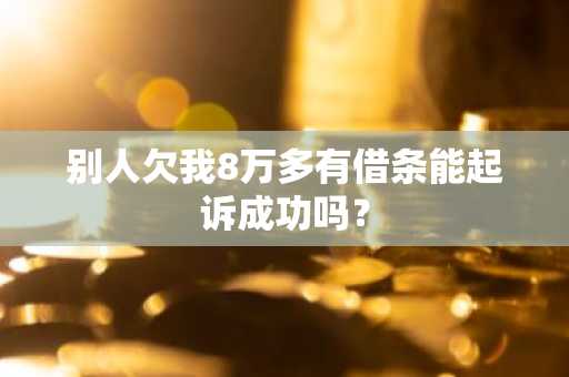 别人欠我8万多有借条能起诉成功吗？