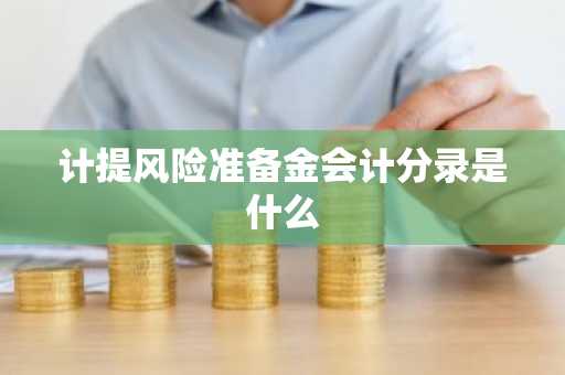 计提风险准备金会计分录是什么