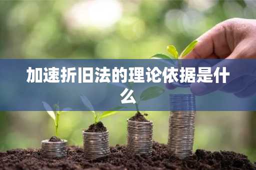 加速折旧法的理论依据是什么