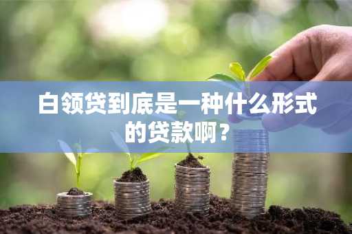 白领贷到底是一种什么形式的贷款啊？