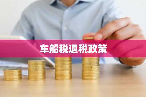 车船税退税政策