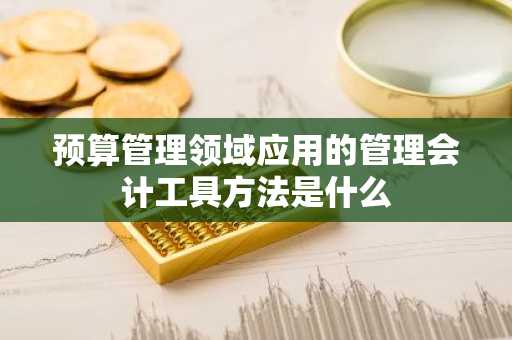 预算管理领域应用的管理会计工具方法是什么