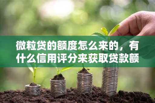 微粒贷的额度怎么来的，有什么信用评分来获取贷款额度吗？