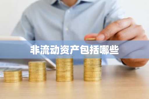 非流动资产包括哪些