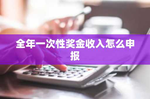 全年一次性奖金收入怎么申报