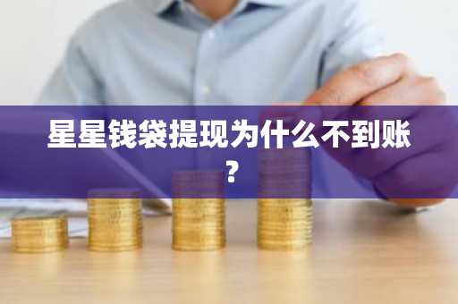 星星钱袋提现为什么不到账？