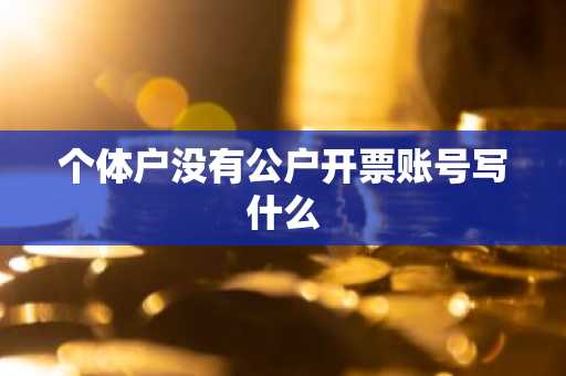 个体户没有公户开票账号写什么