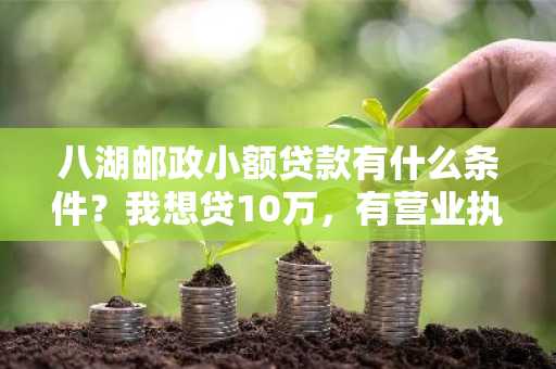 八湖邮政小额贷款有什么条件？我想贷10万，有营业执照刚办的能行吗？