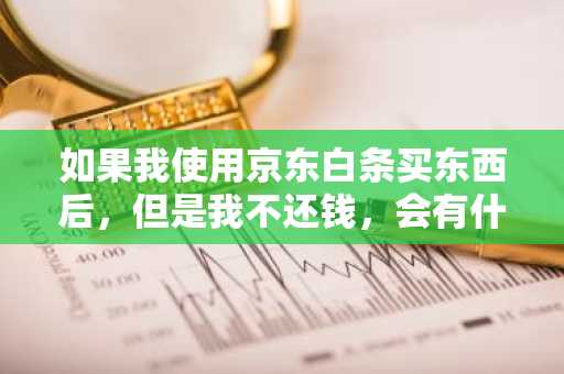 如果我使用京东白条买东西后，但是我不还钱，会有什么后果吗？