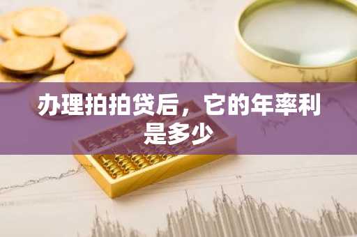 办理拍拍贷后，它的年率利是多少
