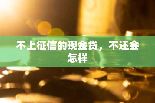 不上征信的现金贷，不还会怎样