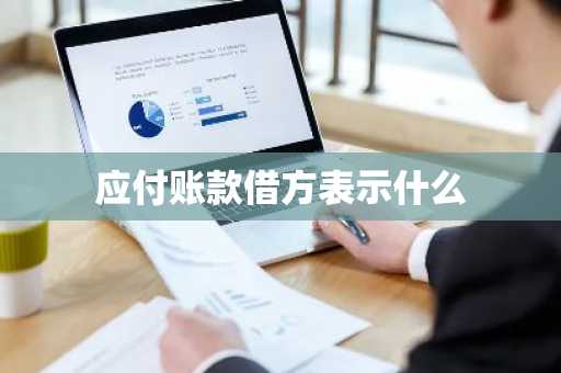应付账款借方表示什么