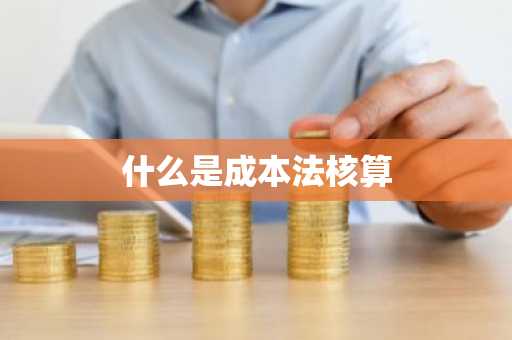 什么是成本法核算