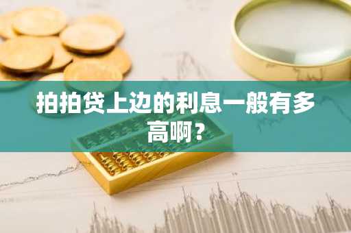 拍拍贷上边的利息一般有多高啊？