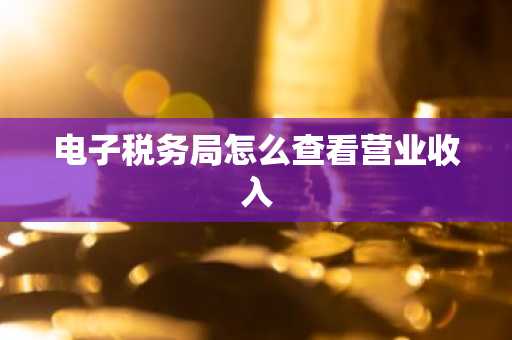 电子税务局怎么查看营业收入