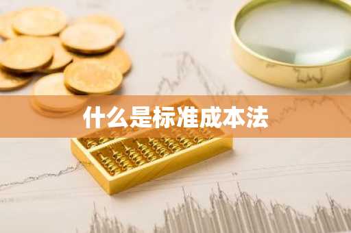 什么是标准成本法