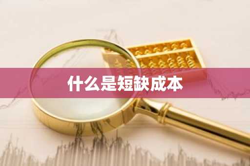 什么是短缺成本