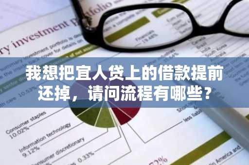 我想把宜人贷上的借款提前还掉，请问流程有哪些？
