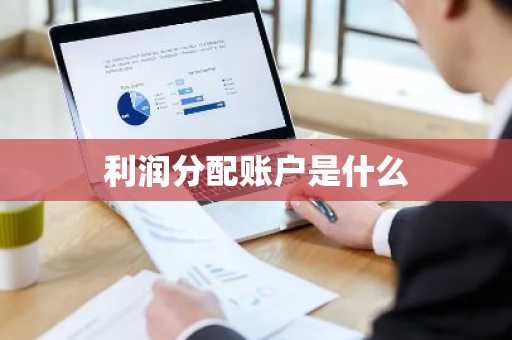 利润分配账户是什么
