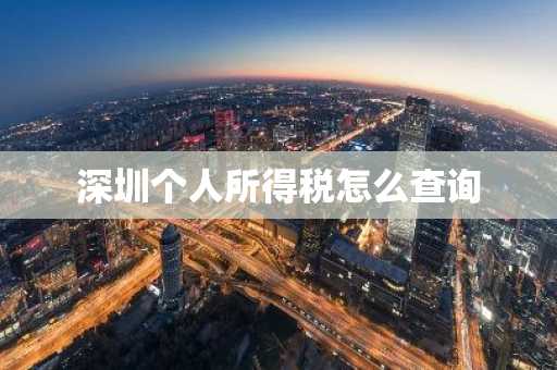 深圳个人所得税怎么查询