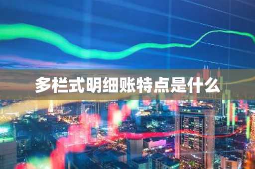 多栏式明细账特点是什么