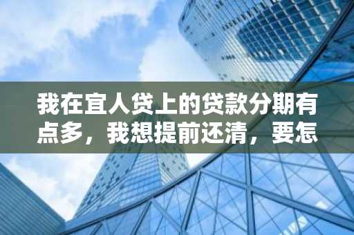 我在宜人贷上的贷款分期有点多，我想提前还清，要怎么操作？