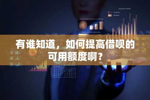 有谁知道，如何提高借呗的可用额度啊？