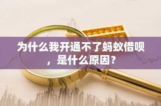 为什么我开通不了蚂蚁借呗，是什么原因？
