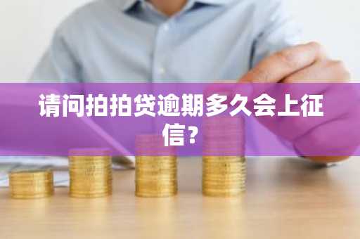 请问拍拍贷逾期多久会上征信？