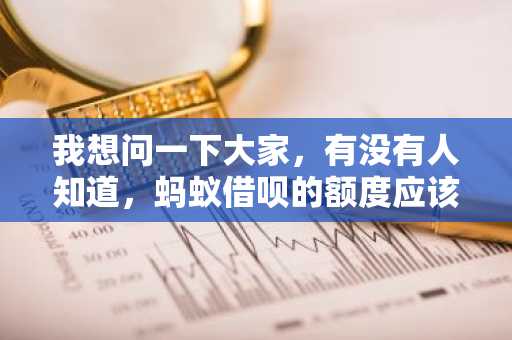 我想问一下大家，有没有人知道，蚂蚁借呗的额度应该怎么提升呢？