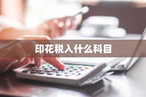 印花税入什么科目