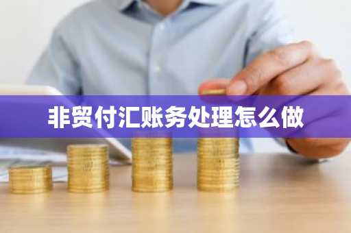 非贸付汇账务处理怎么做