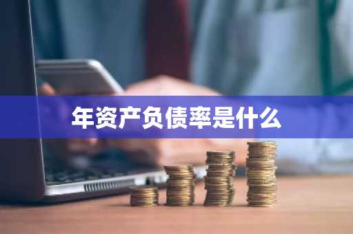 年资产负债率是什么