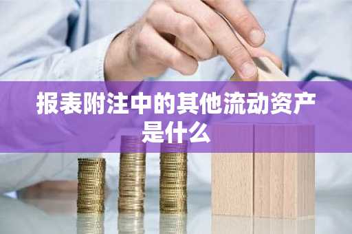 报表附注中的其他流动资产是什么