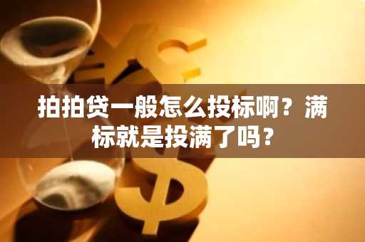 拍拍贷一般怎么投标啊？满标就是投满了吗？
