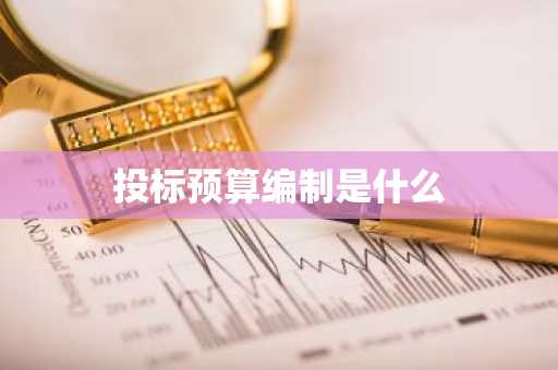投标预算编制是什么
