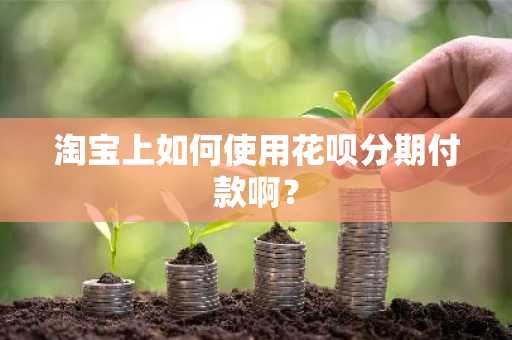 淘宝上如何使用花呗分期付款啊？
