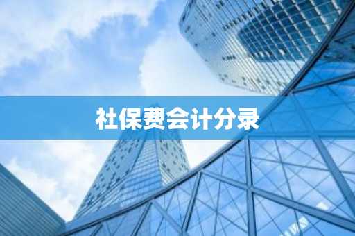 社保费会计分录