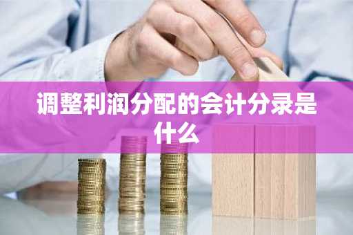 调整利润分配的会计分录是什么