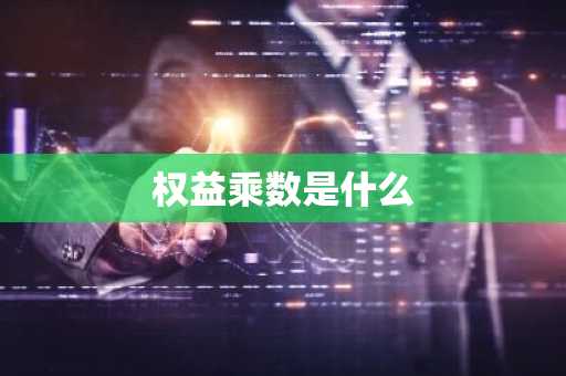 权益乘数是什么
