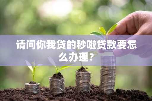 请问你我贷的秒啦贷款要怎么办理？