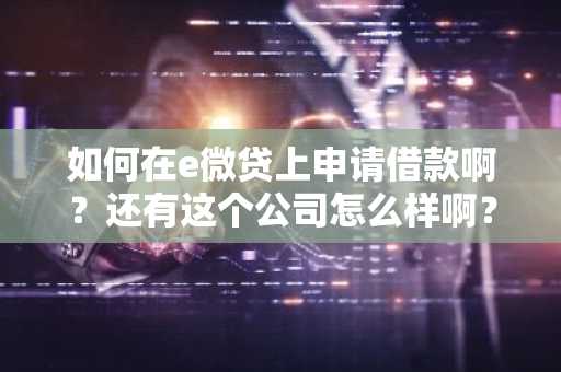 如何在e微贷上申请借款啊？还有这个公司怎么样啊？