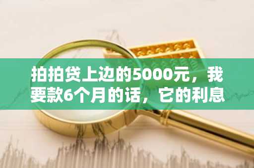 拍拍贷上边的5000元，我要款6个月的话，它的利息是多少啊？