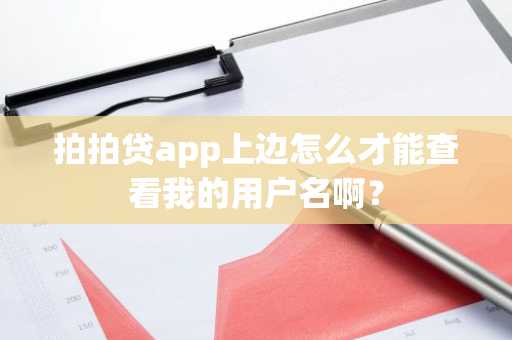 拍拍贷app上边怎么才能查看我的用户名啊？