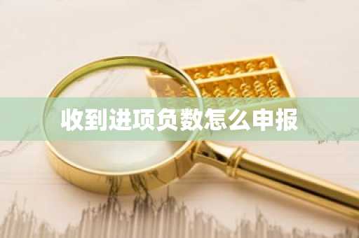 收到进项负数怎么申报