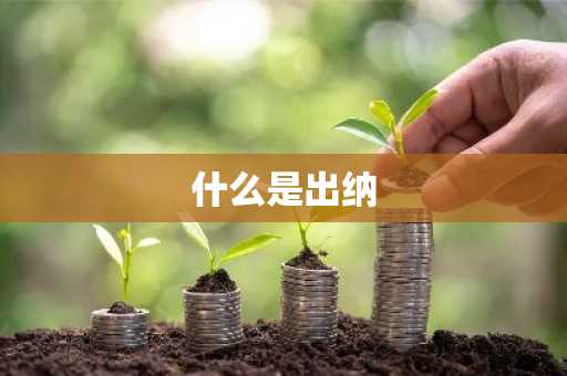 什么是出纳