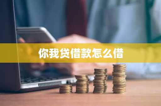你我贷借款怎么借