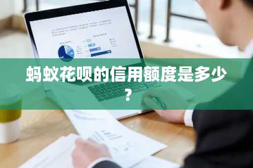 蚂蚁花呗的信用额度是多少？