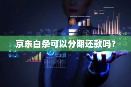 京东白条可以分期还款吗？