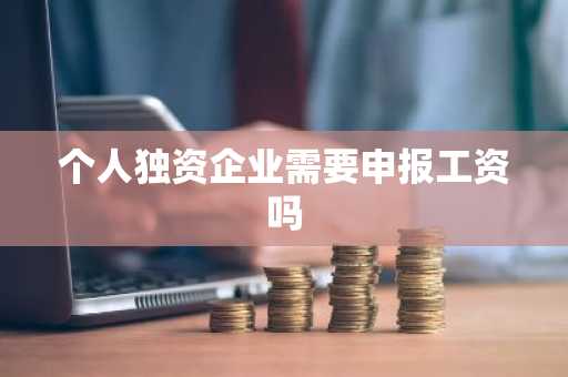 个人独资企业需要申报工资吗